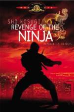 Watch Revenge of the Ninja Vodly