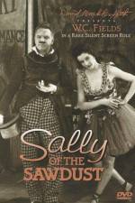 Watch Sally of the Sawdust Vodly