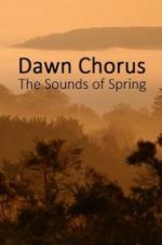 Watch Dawn Chorus: The Sounds of Spring Vodly