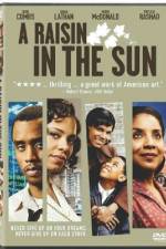 Watch A Raisin in the Sun Vodly