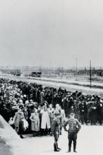 Watch AUSCHWITZ: SURPRISING BEGINNINGS Vodly