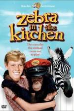 Watch Zebra in the Kitchen Vodly
