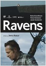 Watch Ravens Vodly