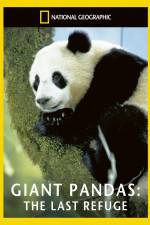 Watch National Geographic Giant Pandas The Last Refuge Vodly