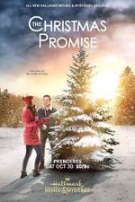 Watch The Christmas Promise Vodly