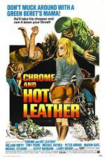 Watch Chrome and Hot Leather Vodly