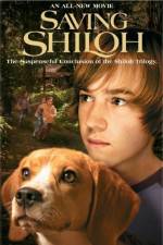 Watch Saving Shiloh Vodly