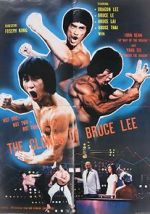 Watch The Clones of Bruce Lee Vodly