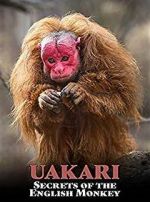 Watch Uakari: Secrets of the English Monkey Vodly