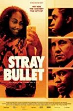 Watch Stray Bullet Vodly