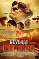 Watch Revenge Is a Promise Vodly