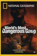 Watch National Geographic World's Most Dangerous Gang Vodly