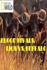 Watch National Geographic - Blood Rivals: Lion vs. Buffalo Vodly