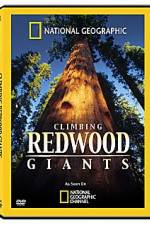 Watch National Geographic Explorer: Climbing Redwood Giants Vodly