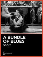 Watch A Bundle of Blues Vodly