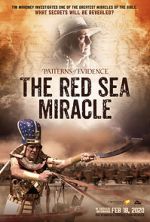Watch Patterns of Evidence: The Red Sea Miracle Vodly