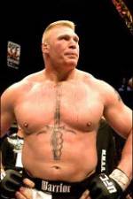 Watch Brock Lesnar 7 Fights Vodly