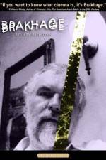 Watch Brakhage Vodly