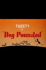 Watch Dog Pounded (Short 1954) Vodly