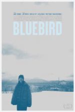 Watch Bluebird Vodly