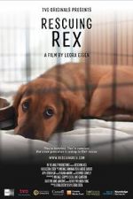 Watch Rescuing Rex Vodly