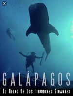 Watch Galapagos: Realm of Giant Sharks Vodly