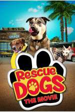 Watch Rescue Dogs Vodly