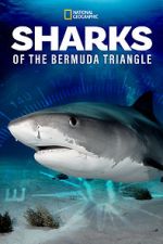 Watch Sharks of the Bermuda Triangle (TV Special 2020) Vodly