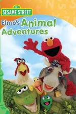 Watch Elmos Animal Adventures Vodly