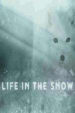 Watch Life in the Snow Vodly