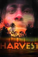 Watch Harvest Vodly