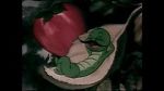 Watch The Wacky Worm (Short 1941) Vodly