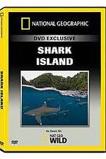 Watch National Geographic: Shark Island Vodly