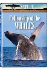 Watch Fellowship Of The Whales Vodly