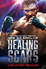 Watch Healing Scars Vodly