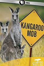 Watch Kangaroo Mob Vodly