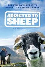 Watch Addicted to Sheep Vodly