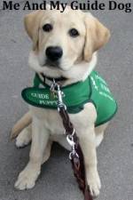 Watch Me And My Guide Dog Vodly