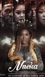Watch Nneka the Pretty Serpent Vodly