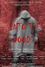 Watch Into the Woods Vodly