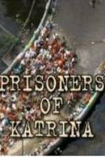 Watch Prisoners of Katrina Vodly