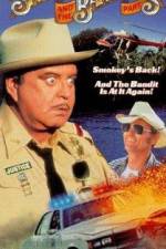 Watch Smokey and the Bandit Part 3 Vodly