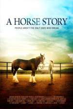 Watch A Horse Story Vodly