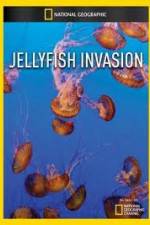 Watch National Geographic: Wild Jellyfish invasion Vodly