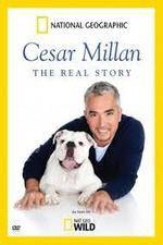 Watch Cesar Millan: The Real Story Vodly