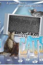 Watch Shorts for Cats Vodly