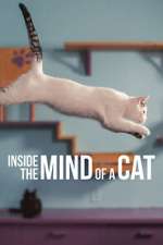 Watch Inside the Mind of a Cat Vodly