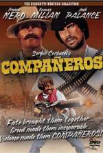 Watch Companeros Vodly