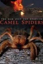 Watch Camel Spiders Vodly