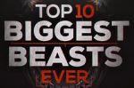 Watch Top 10 Biggest Beasts Ever Vodly